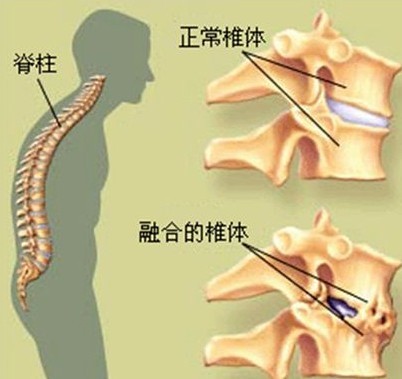 f603a47f-a36c-40aa-a314-fa95023511be.jpg