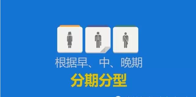 分期分型.jpg